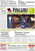 Pałuki i Ziemia Mogileńska