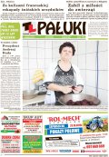 Pałuki