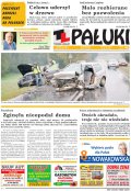 Pałuki