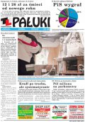 Pałuki
