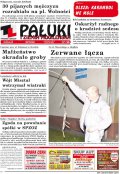Pałuki i Ziemia Mogileńska