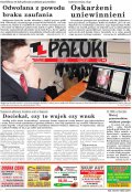 Pałuki