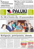 Pałuki i Ziemia Mogileńska