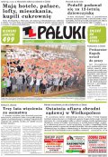 Pałuki