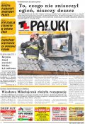 Pałuki