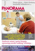 Panorama Leszczyńska