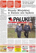 Pałuki