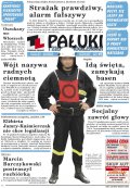 Pałuki i Ziemia Mogileńska