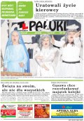 Pałuki
