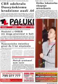Pałuki i Ziemia Mogileńska