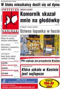 Przegląd Koniński