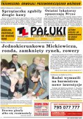 Pałuki i Ziemia Mogileńska