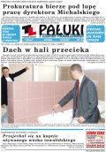 Pałuki i Ziemia Mogileńska