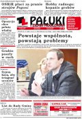 Pałuki i Ziemia Mogileńska