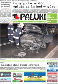 Pałuki
