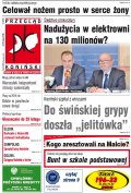 Przegląd Koniński