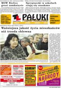 Pałuki i Ziemia Mogileńska