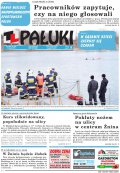 Pałuki