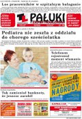 Pałuki i Ziemia Mogileńska