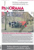 Panorama Leszczyńska