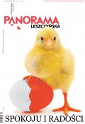 Panorama Leszczyńska