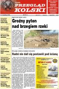 Przegląd Kolski