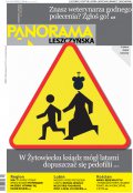 Panorama Leszczyńska