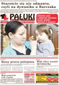 Pałuki i Ziemia Mogileńska
