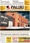 Pałuki i Ziemia Mogileńska