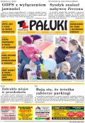 Pałuki