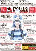 Pałuki i Ziemia Mogileńska