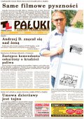Pałuki i Ziemia Mogileńska