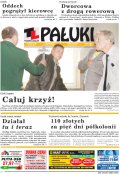 Pałuki