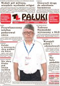Pałuki i Ziemia Mogileńska