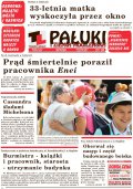 Pałuki i Ziemia Mogileńska