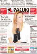 Pałuki i Ziemia Mogileńska