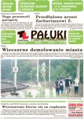 Pałuki i Ziemia Mogileńska