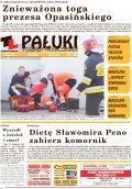 Pałuki i Ziemia Mogileńska