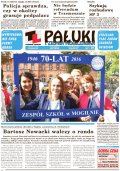 Pałuki i Ziemia Mogileńska