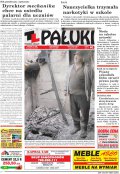 Pałuki