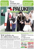 Pałuki