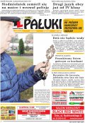 Pałuki
