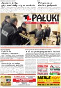 Pałuki