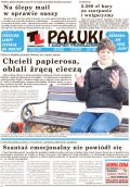 Pałuki i Ziemia Mogileńska