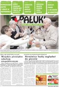 Pałuki
