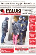 Pałuki i Ziemia Mogileńska