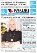 Pałuki i Ziemia Mogileńska
