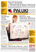Pałuki i Ziemia Mogileńska