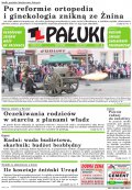 Pałuki