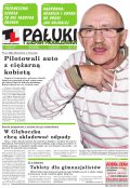 Pałuki i Ziemia Mogileńska